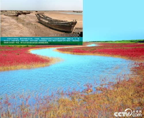 PHOTxZPoPAO1s1DO9xJqadHQ181202_1000x2000