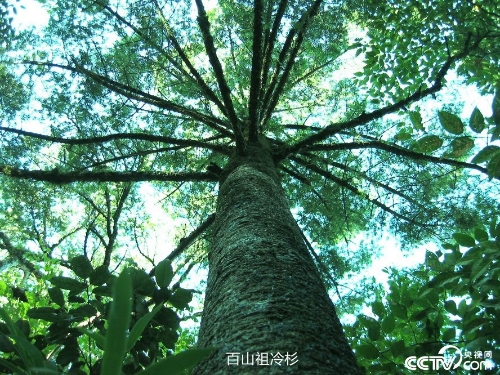 PHOTpuBPQImbY6tF6gzvnHFL181202_1000x2000