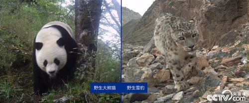 PHOTXJO0dk6bTPGLk95AIyTw181202_1000x2000