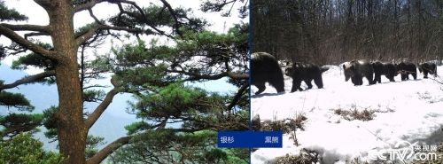 PHOTYCZRn22VueRCY6ORFWSu181202_1000x2000