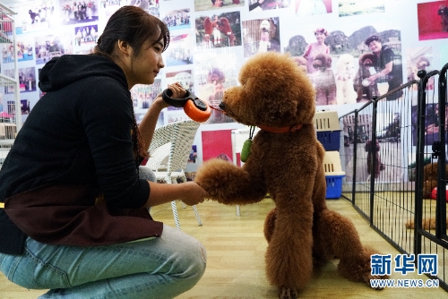 137646098_15438034138271n