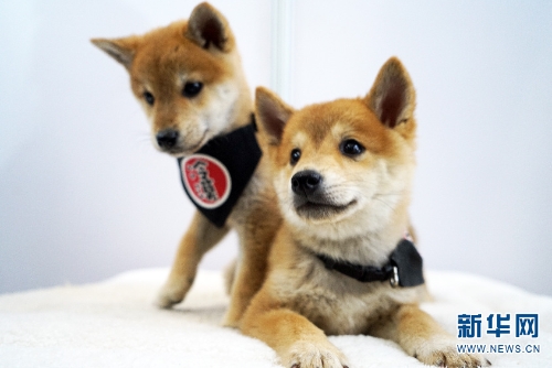 137646098_15438034142371n