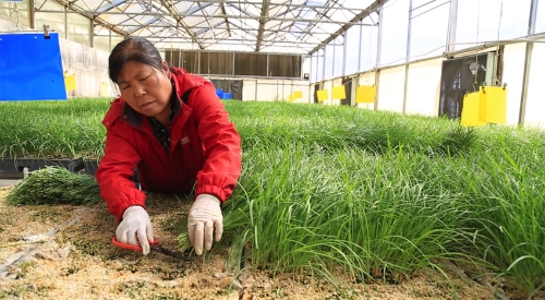 MAIN201810101034000482486451660 MAIN201810101034000482486451660