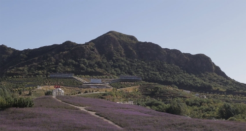 MAIN201810101034000494662403146 MAIN201810101034000494662403146