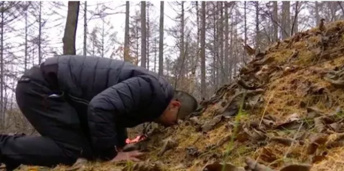 微信截图_20181203174211