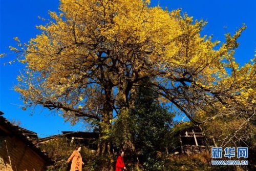 309c23cbaaa91d7049fe56