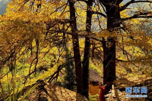 309c23cbaaa91d7049fe57