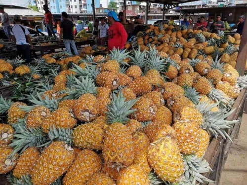 W020181204574171007938 W020181204574171007938