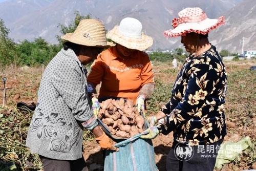 微信图片_20181204172054