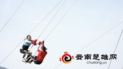 e66d2437-5ea8-4760-8338-c292e9b07a3b