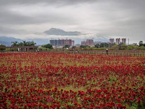 MAIN201811191602000471300160935