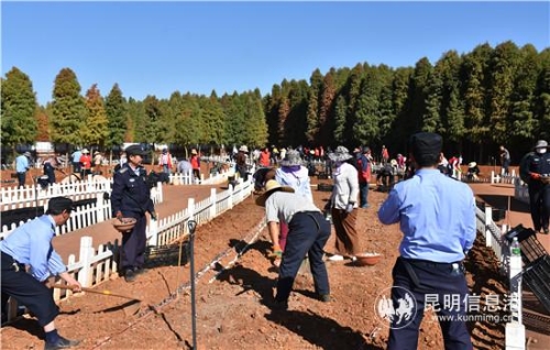 忙碌的种植_副本