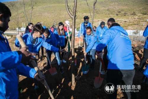 QQ截图20181208155052