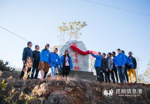 QQ截图20181208155101