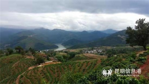 QQ图片20181211174808