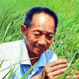 W020181211320593395474