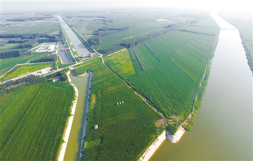 res01_attpic_brief res01_attpic_brief