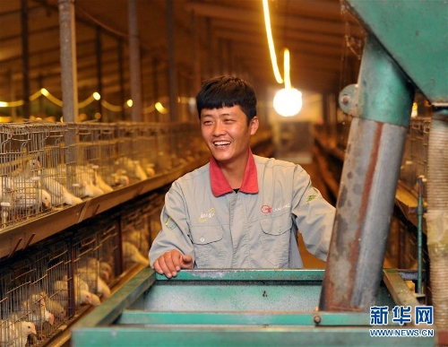 1123853908_15447686554681n