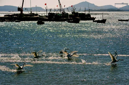 MAIN201811041232000227504679428