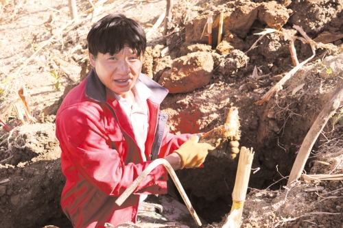 5b0a69cd-a0f5-4207-955a-03d731c05ff2