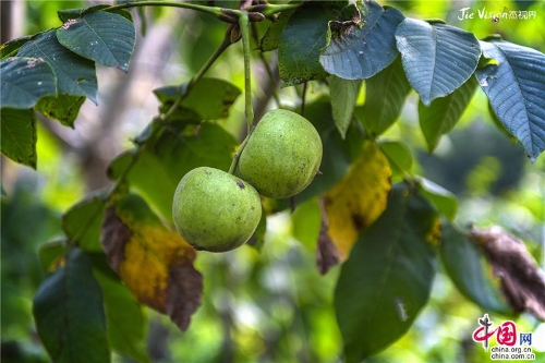 343401c8-935c-4bfb-b51a-34b5a8b3155d_batchwm