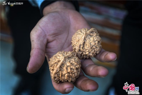 6cba3673-cefe-439d-aca2-80e337666d4b_batchwm