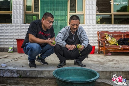 38465047-70ca-415d-a390-9d0aa4993ba8_batchwm