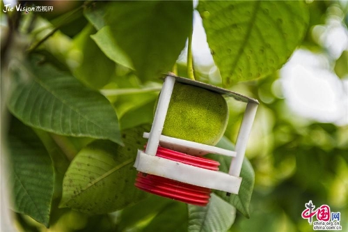 dd41836b-3db5-498e-9a3a-d4884784fd5b_batchwm