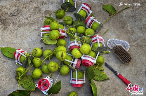 b513a1d1-5997-4a05-8621-9b00baee4f85_batchwm