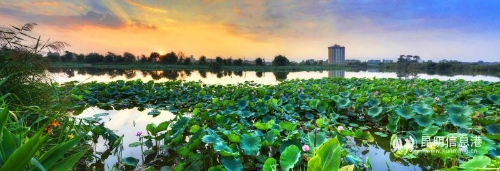 微信图片_2018121815115138