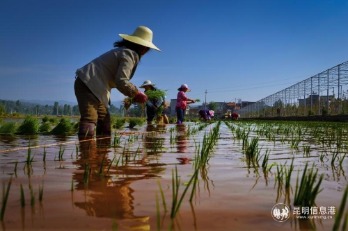 微信图片_2018121815115118