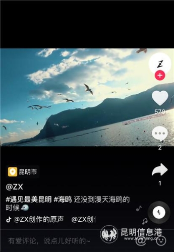 红嘴鸥创意短视频挑战赛投稿作品2