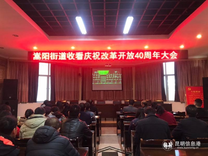 嵩阳街道 嵩阳街道