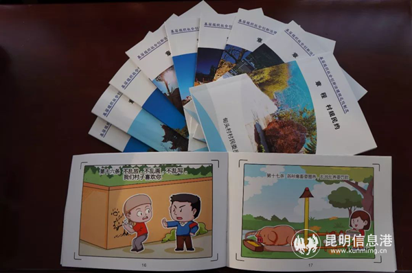 《章程》《村规民约》及漫画册 《章程》《村规民约》及漫画册