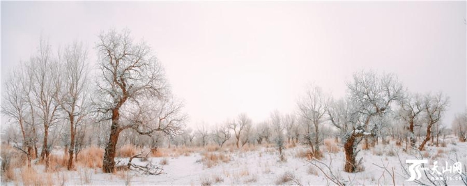 74e9c4711e1c4156b4715c303daf70fd