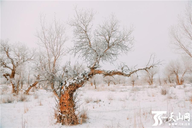 9036419986c1474f851bb8a3d43d6158