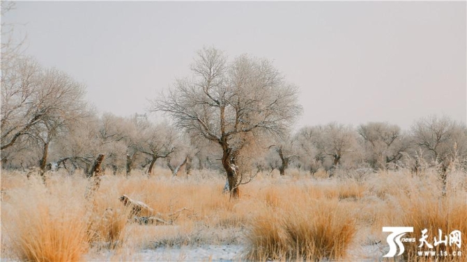 b080bbbb06464b9c88ff438e9f30e3ad