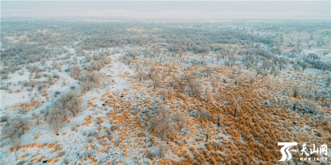 d056f8fe0c784b6e87211629a4eba922