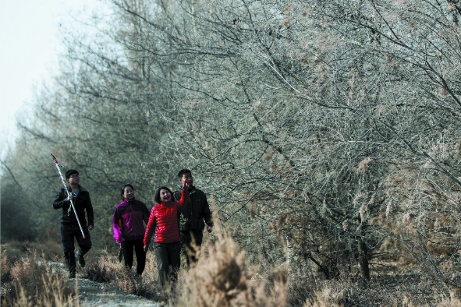 00350670337_30371a6a