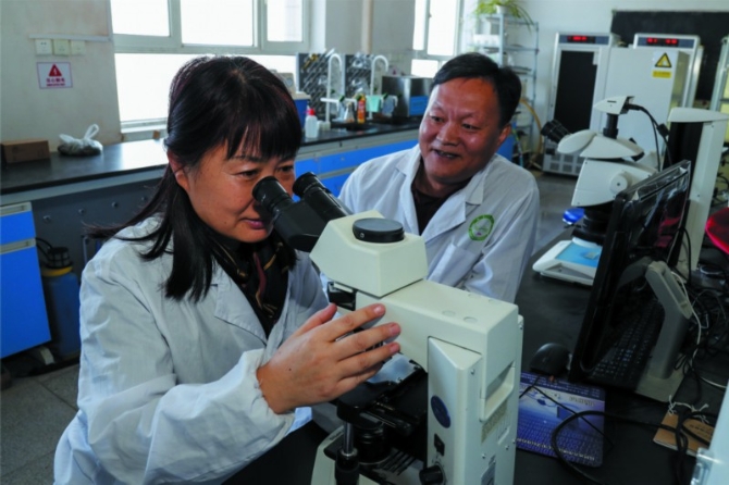 00350670342_a2a3a961