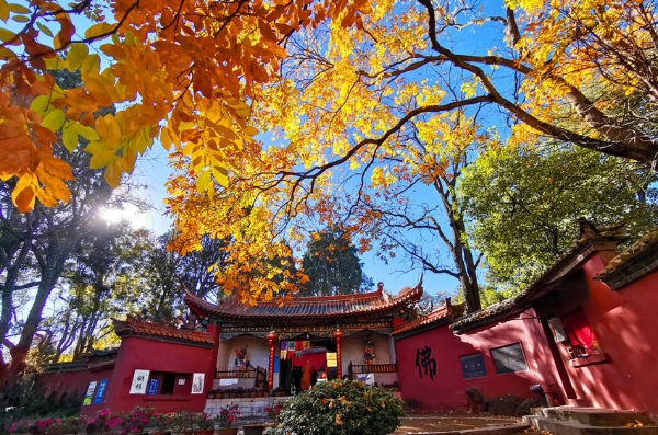 15459604522613807_29114841_H1920