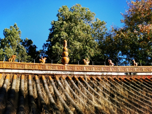 15459604736603542_29114841_H1920