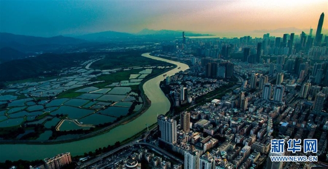 1123933415_15463323334501n