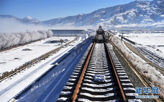 1123933415_15463330199731n