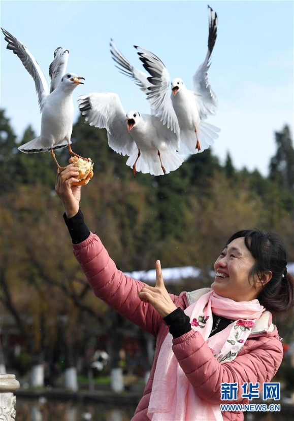 137713992_15463939216271n