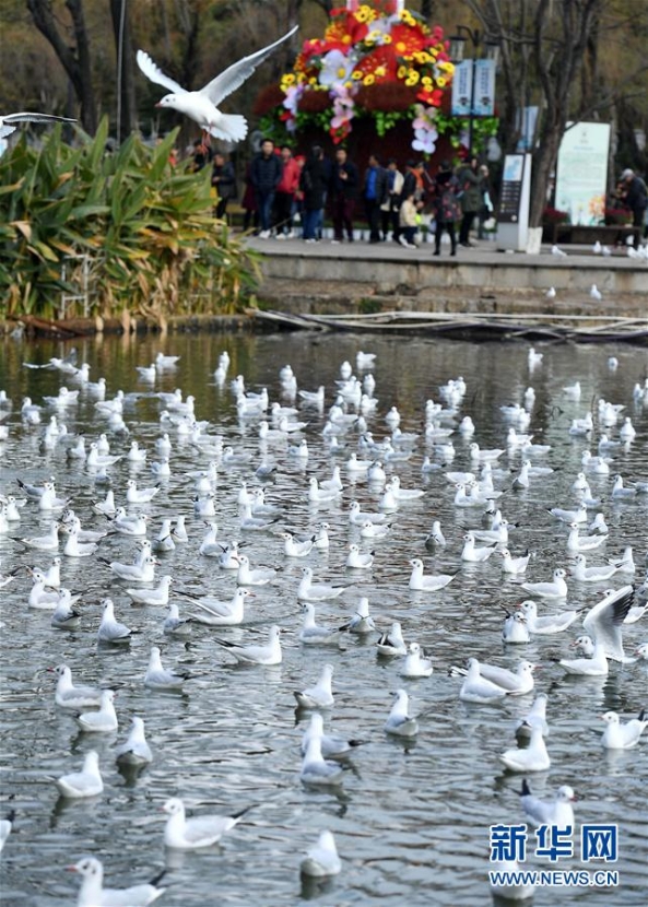 137713992_15463939216751n