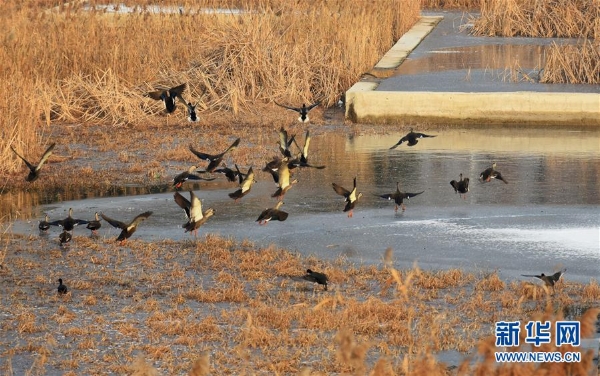 1123934120_15463434348431n