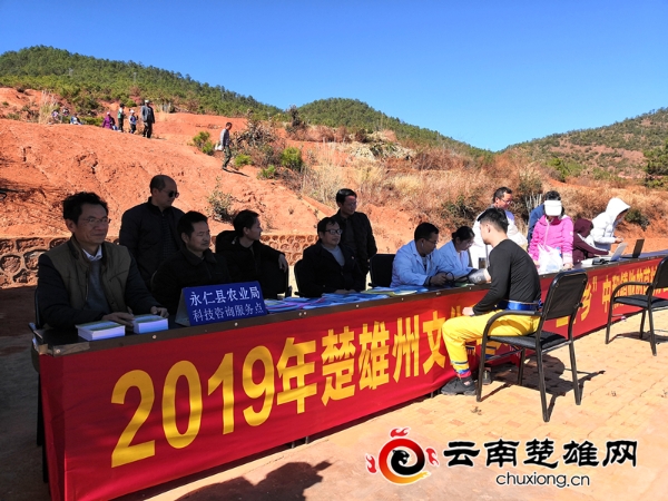 69f40e59-8a8c-4715-980e-496363e12822