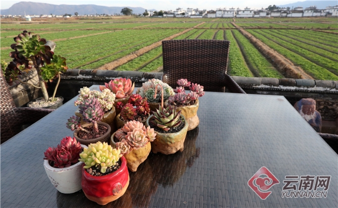 00300321686_6b009e8b