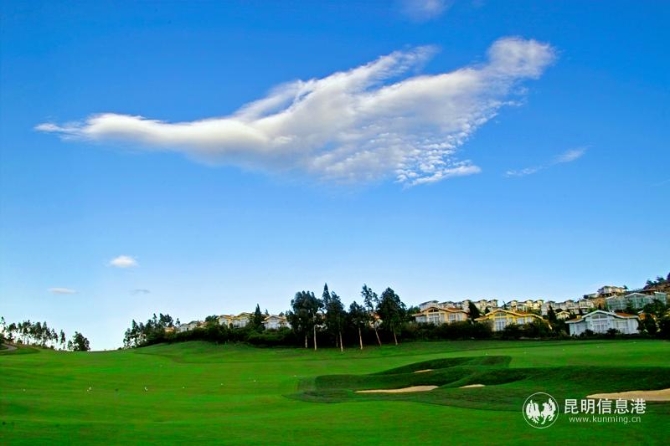 YZH0521《筑巢引凤》